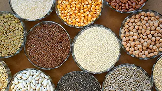 Agricultural & Agro Based Products